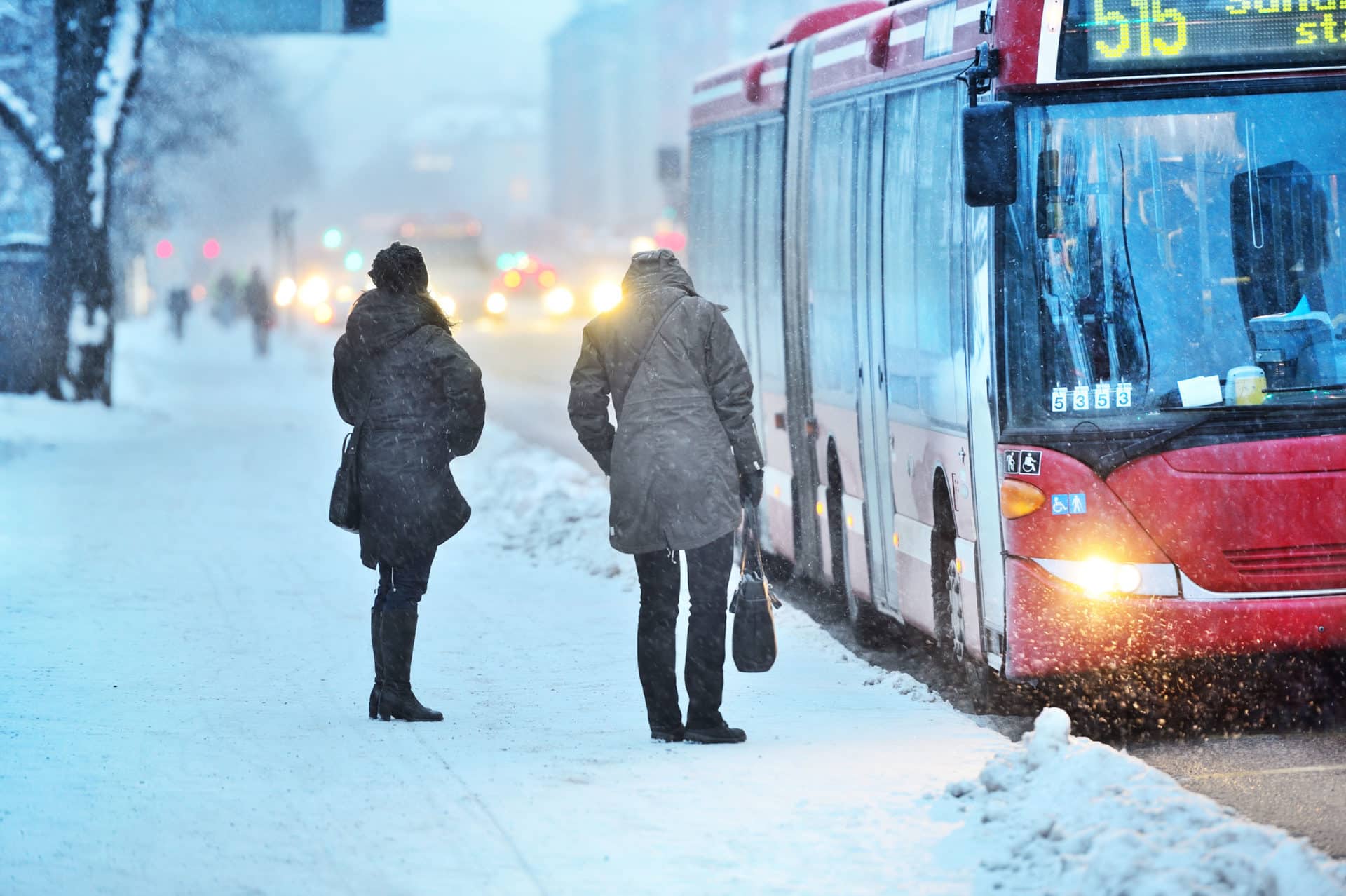 Bystanders Can Be Hurt By New York School Buses, Too