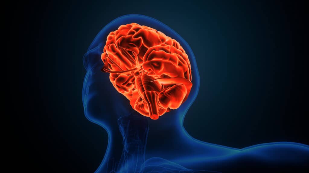 What Accidents Can Cause a TBI? What Accidents Can Cause a TBI?